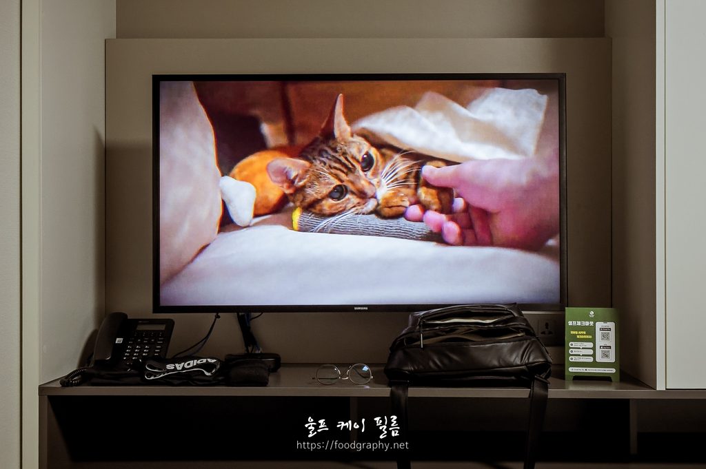 속초 1박 여행기. 가 아닌 식당 출장 음식사진 촬영기. 속초 식당 사진촬영19